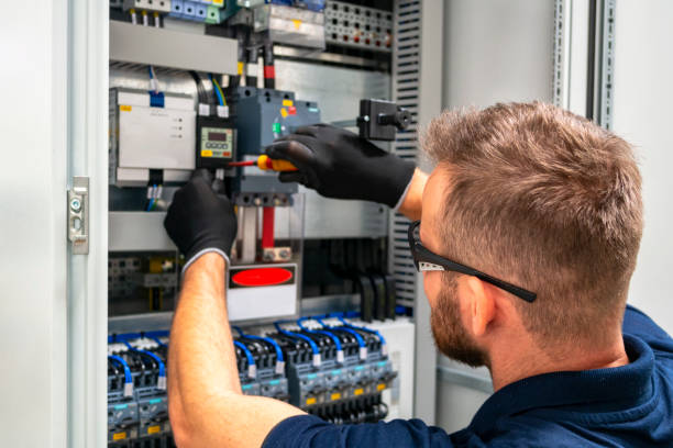 Best Electrical Remodeling Services  in Taylorvle, IL