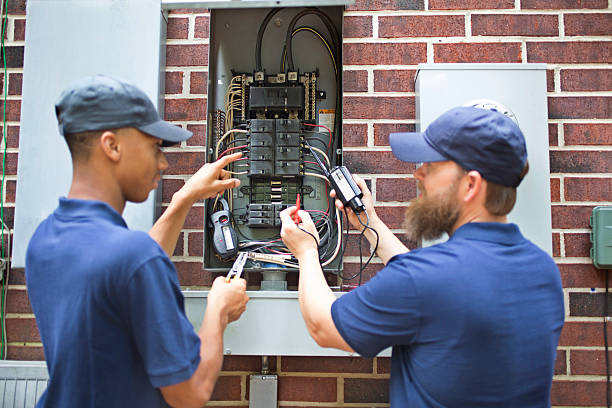 Best Generator Installation and Maintenance  in Taylorvle, IL